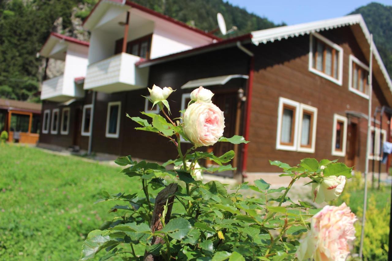 Uzungol Selale Otel Bungalow Kültér fotó