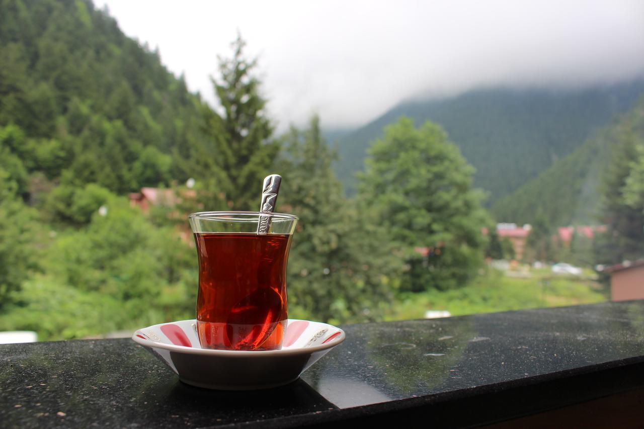 Uzungol Selale Otel Bungalow Kültér fotó
